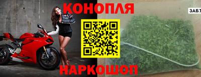 гашик Малгобек